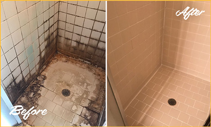 Picture of Tile Shower Plagued with Mold and Mildew Before and After Cleaning Tile and Grout