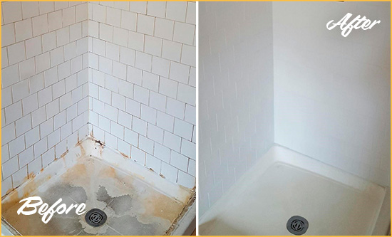 Before and After Picture of Bathroom Grout Cleaning and Sealing on a Shower with Mold and Mildew