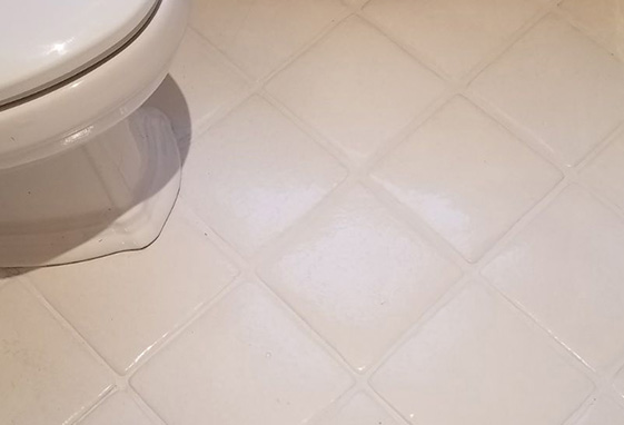 Tile and Grout Care Tips Before
