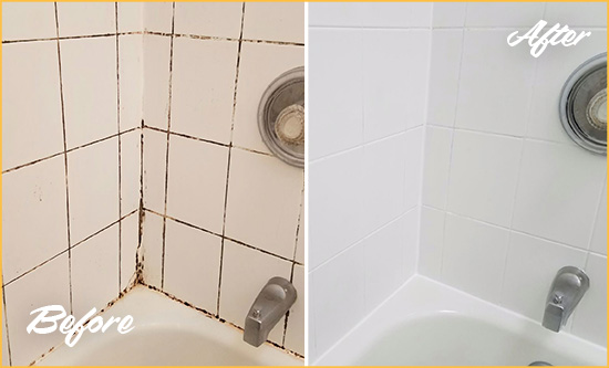 Before and After Picture of a West Lake Hills Shower Tile and Grout Cleaned to Eliminate Mold