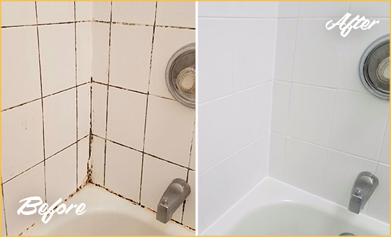 Before and After Picture of a San Leanna Shower Tile and Grout Cleaned to Eliminate Mold