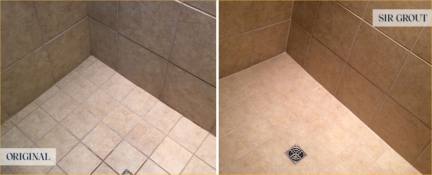Shower Restored by Our Expert Tile and Grout Cleaners in The Hills, TX