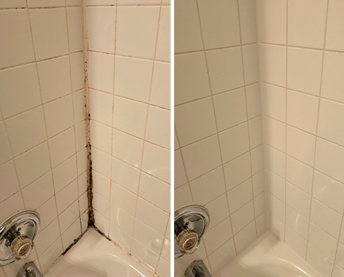 Shower Before and After a Tile Cleaning in Webberville, TX