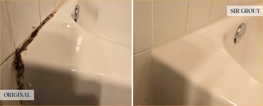 Shower Before and After an Exceptional Tile Cleaning in Webberville, TX