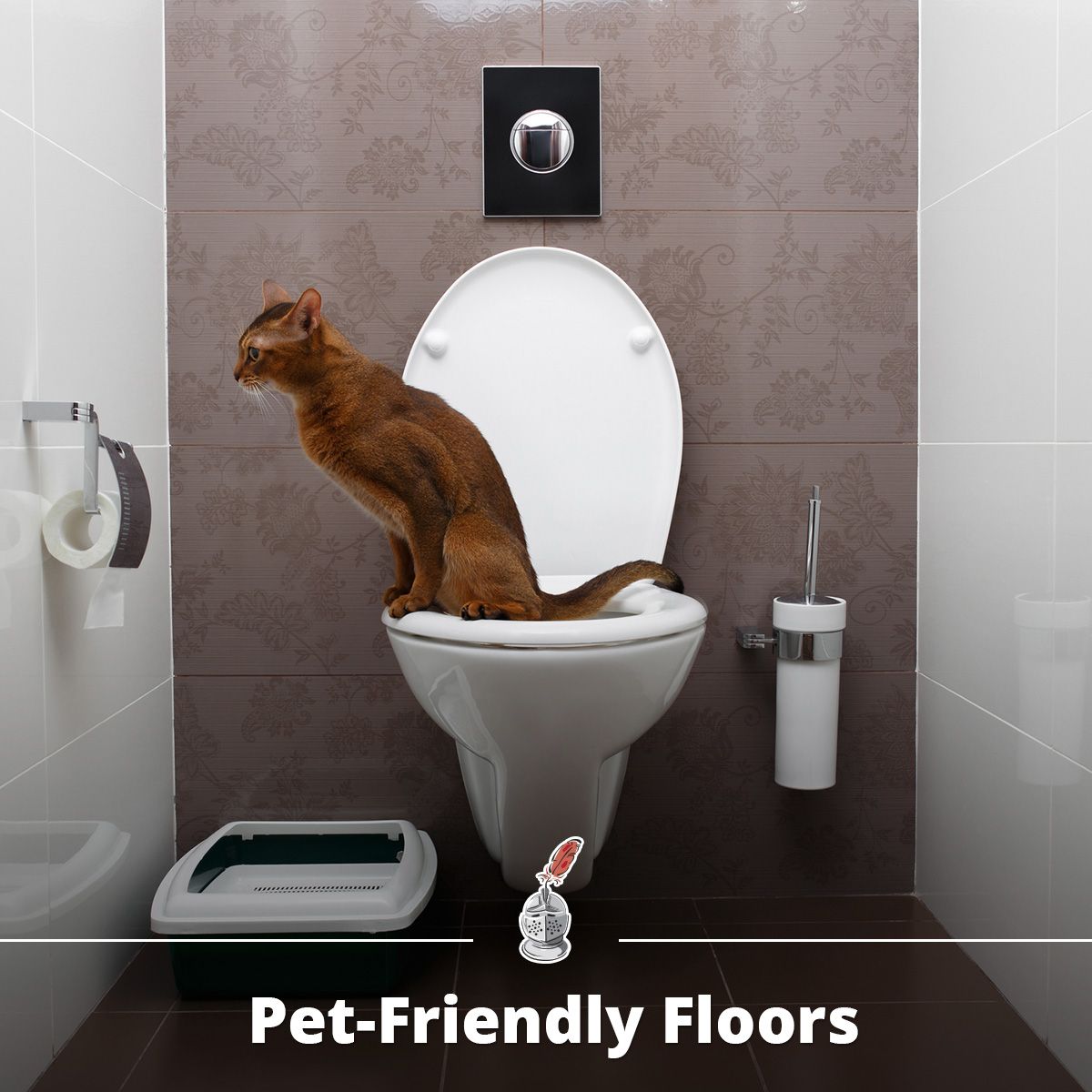 Pet-Friendly Surfaces