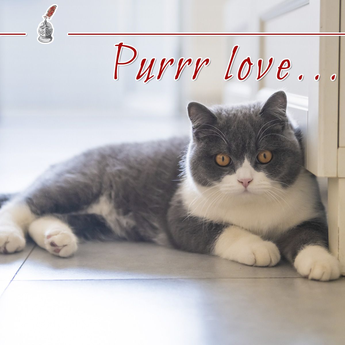 Purr love